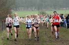 Senior womens Inter Counties Cross Country, Prestwold Hall, Loughborough. Photo: David T. Hewitson/Sports for All Pics